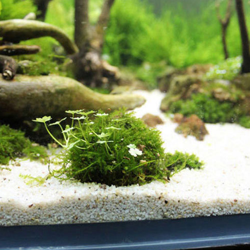 好货Aquarium Grass Plant Model DIY Moss Ball Fish Tank Aquat