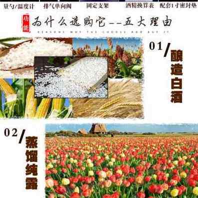 极速新品厂c促新款2021家用小型酿j酒设备酿酒机恒温发酵桶纯露机