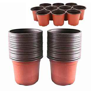 极速100pcs Succulents Reuusable Balcony Container Transplant
