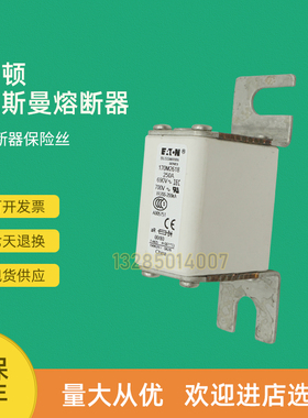 极速全新快速熔断器保险170M2053 170M2054 J170M2055 170M2056