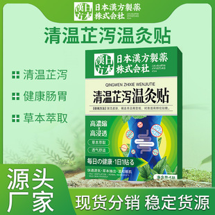 极速南瑾大师清温芷泻温灸贴w 5贴装成人肠胃舒缓草本贴 腹部穴位