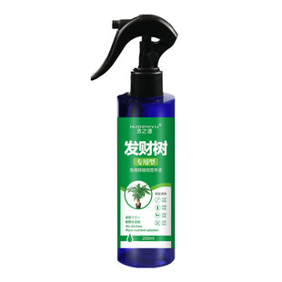 极速发财b树肥料专用肥平安发财树黄叶枯叶烂根怎么办根腐病全治