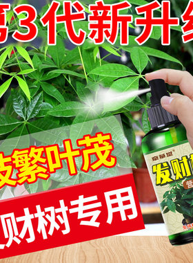 极速发财树活力素叶子发黄怎w么办治黄叶枯叶掉叶烂根营养液肥料