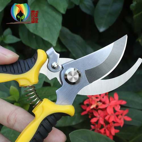 极速园艺园林剪刀多功能修枝剪F树枝剪果枝剪果树工具枝剪