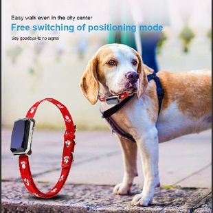GPS Tracker AntFiLost 极速New Device Pet Tracking Arrival