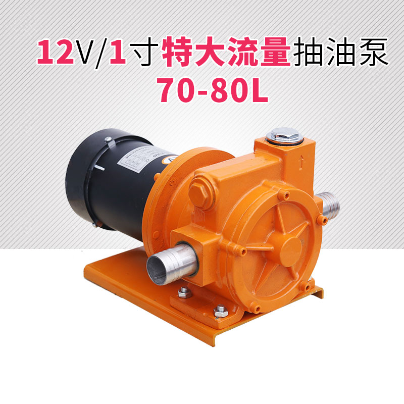极速新品卡蚁大流量电动抽油泵柴油导油泵D12V24V220V静音抽油机