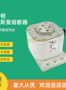 极速全新快速熔断器保险170Mq7544 170M7546 170M7548 170M7549