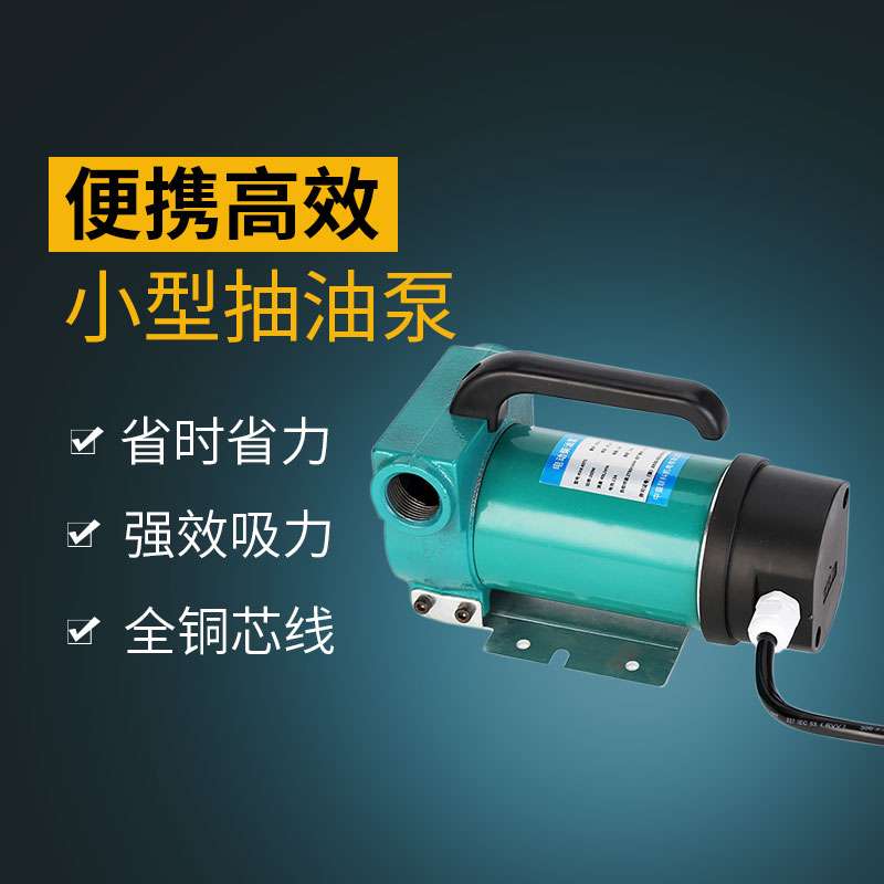 好货电动抽油泵12V24V220V柴油泵手动齿轮油泵液压S直流加油机小