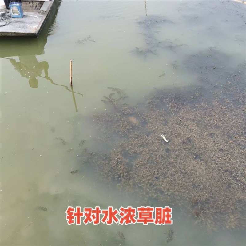 极速新渔联老绿水表面活性剂水浓有机质多调水爽水爽草去除草脏刚