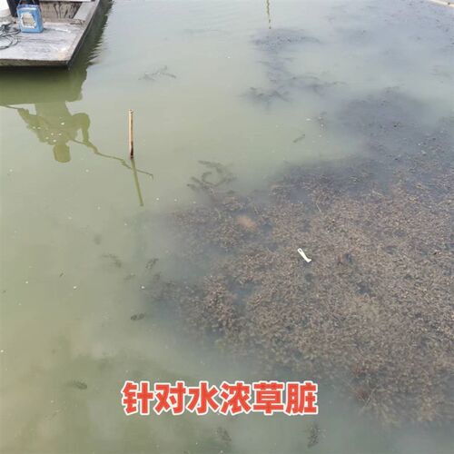 极速新渔联老绿水表面活性剂水浓有机质多调水爽水爽草去除草脏刚