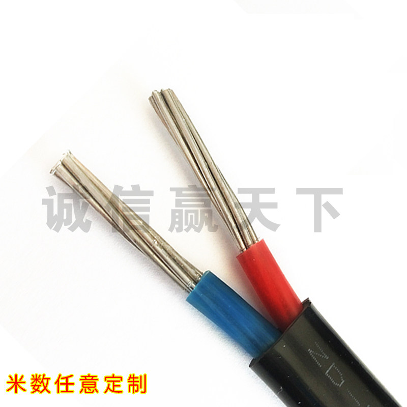 好货国标家用电线4 610 16 25平方电缆线室外2芯农网改造入户铝线