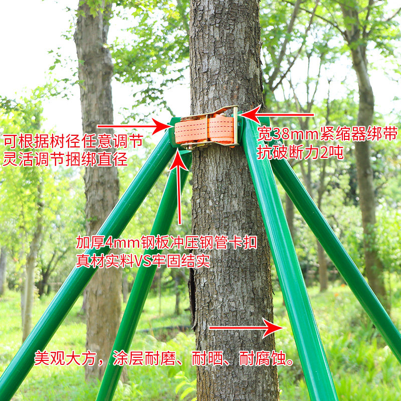 树木支撑架镀锌钢管绿化园艺支伸缩杆金属大杆防风固定器抱箍烤漆,农用物资,苗木固定器/支撑器,淘宝优惠券,粉丝福利购,淘宝优惠卷