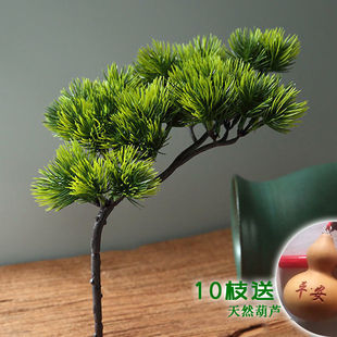 仿真松针崖柏树枝假花松树盆栽松枝道具干花塑料花松树叶子假树叶