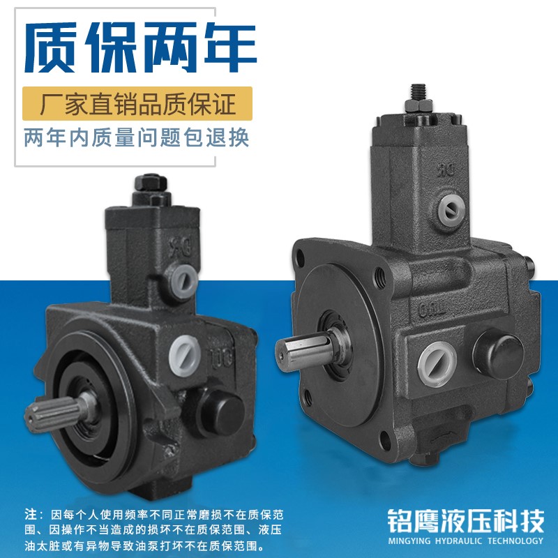极速变量叶片泵VP-20-FA3液压帮浦总成VP-30-FA3液压油压头SF液压