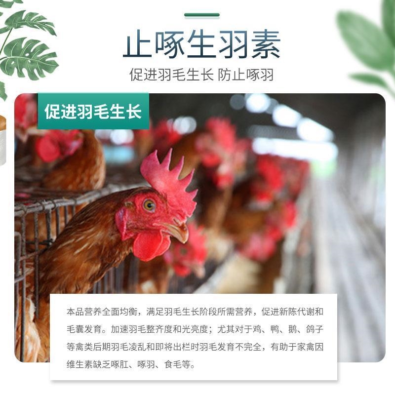 极速止啄生羽素芦丁鸡羽毛防啄生羽亮毛羽毛营养素鸡鸭鹅鹌鹑饲料