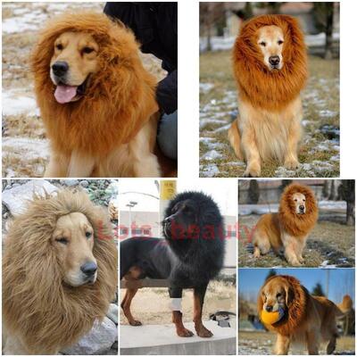 好货Large Pets Dogs Cats Lion Wigs Hair Festival Party Hallo
