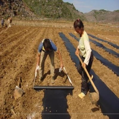 模黑色地膜种菜大j蒜农用农业花生银防膜保护地溥装修0.6塑料薄膜