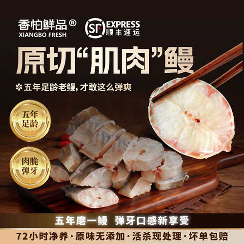 香柏鲜品养殖五年超好吃的鳗鱼