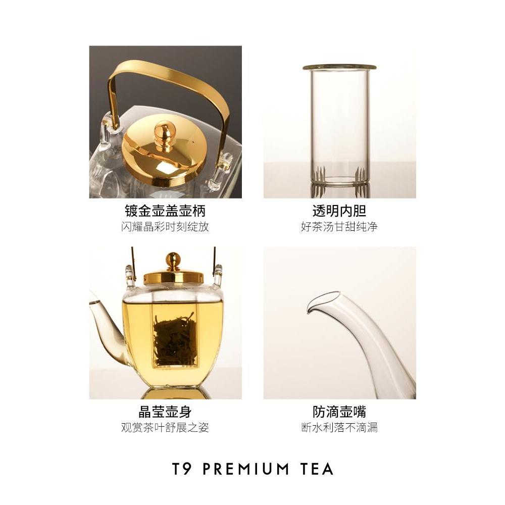 T9晶钻手工玻璃茶壶煮茶可加热耐高温大容量家用泡茶烧水壶450ml-封面