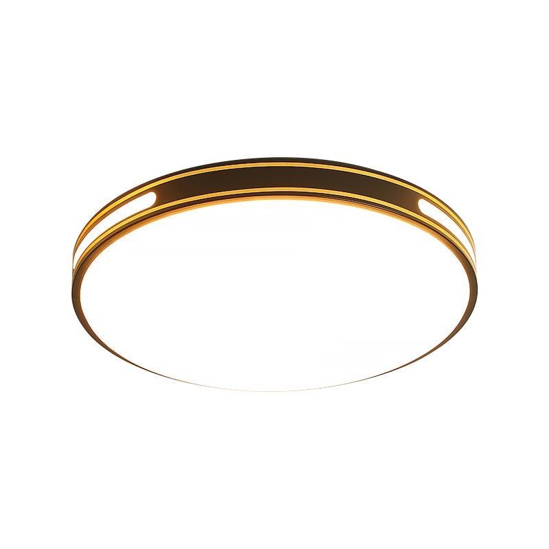 LED客厅主灯新款简约超薄吸顶灯现代大气家用房间餐厅卧室吊灯具