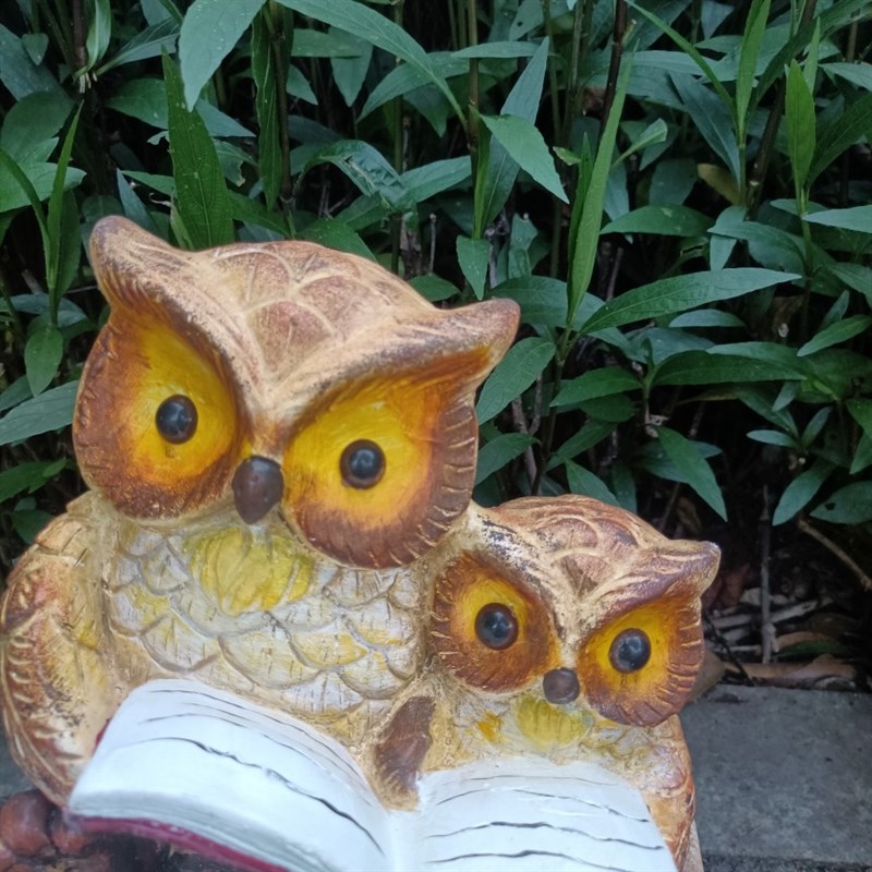 猫头鹰看书动物草坪庭院露台户外景观园艺摆件可爱幼儿园雕塑布置