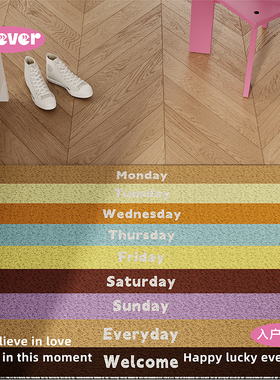 多巴胺ins风创意入户地垫丝圈防滑脚垫毯进门垫玄关大门口可裁剪