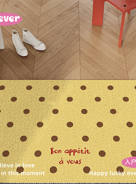 韩式简约波点入户地垫丝圈防滑耐脏脚垫子进门玄关门口地毯可裁剪