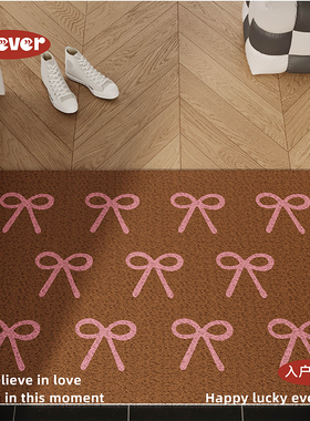 绝版清仓新年卡通可爱入户地垫丝圈防滑脚垫地毯进门玄关门口门外