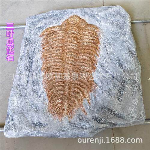 玻璃钢鱼类化石三叶虫龙模型科普教学地质古生物动物标本原石雕塑