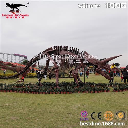 大型景区仿真三角龙骨架室内科技博物馆恐龙骨骼化石展览模型美陈