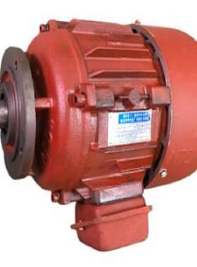 锥形转子电动机0.8KW 型号:DE65M-ZDM21-4 库号：M205058