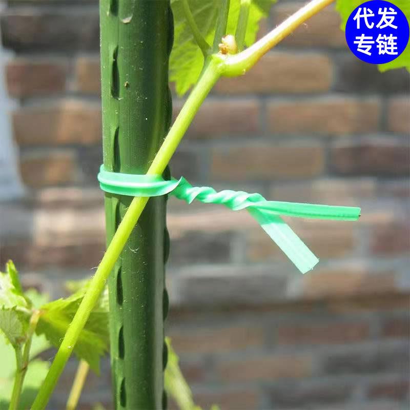 园艺捆扎线蔬菜大棚豆角架杆绑绳西瓜黄瓜爬藤植物扎带葡萄固定器图片