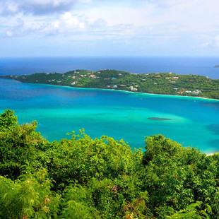 这是一家感情店一分钱素材