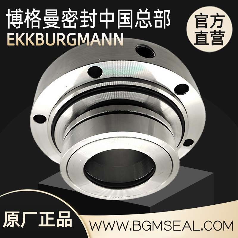 武汉博格曼离心泵用KWP300-400机械密封 KWP250-500化工污水泵