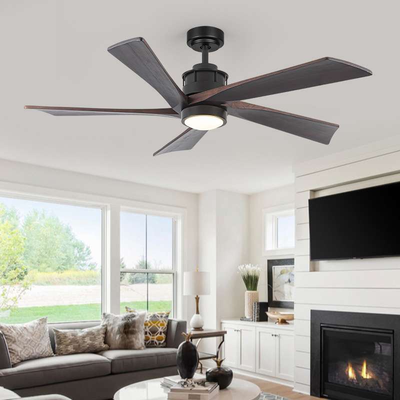 装饰风扇灯工业风大风力实木大吊扇灯客厅餐厅电风扇可调光