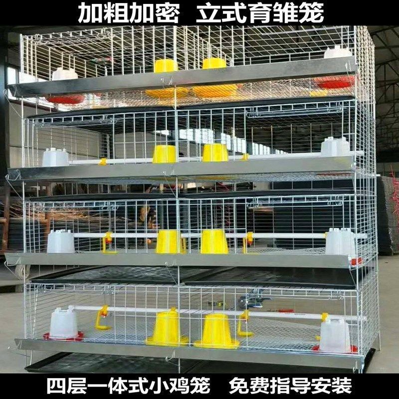 加粗加密4层立式小鸡育雏笼