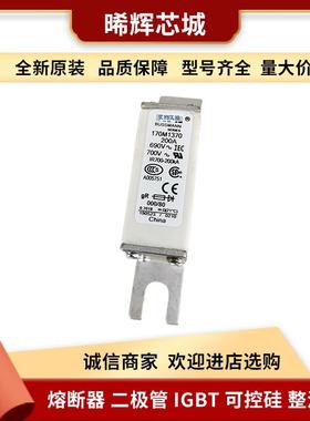 170M1371170M1372直流快速熔断器型号齐全电子元器件库存充足