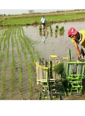 水稻栽苗补苗机小型手动两行水稻人力手摇式插秧机水稻插秧机