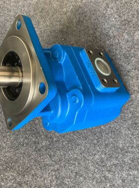 供应 CBK1008-BCF齿轮泵