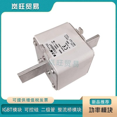 快速熔断器保险丝170M3659/3660/3661/3662/3663/3664/3665/3666