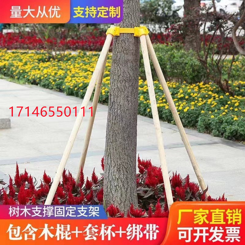 树木支撑固定器支撑架杆杉木松木杨木棍园林绿化防风工程稳定支架