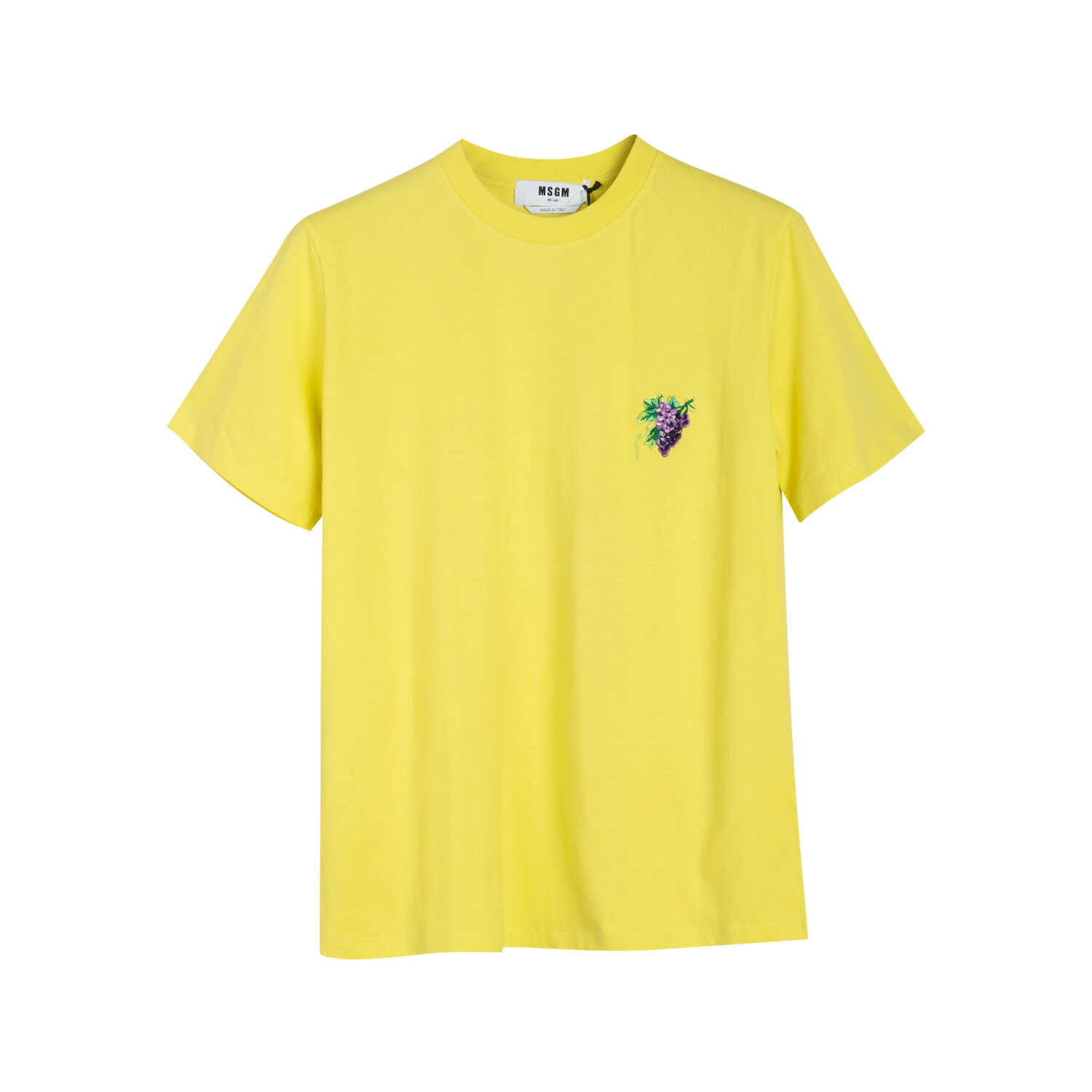 全新未使用MSGMT恤印花