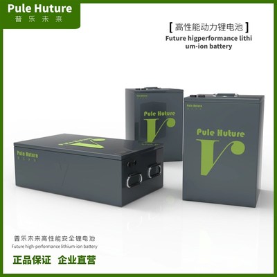 宁德时代锂电池72v60v48v三轮电动车电摩改装车三元大单体120优选