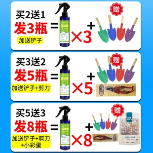 仙客来专用肥四季开花防黄叶烂根软蔫促开花营养液通用有机花肥料