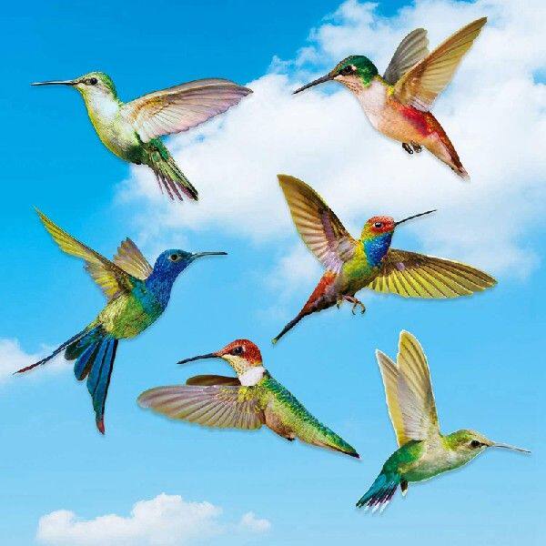 极速6 Pcs Lrge Size Bird Window Clings Anti-Collision Window