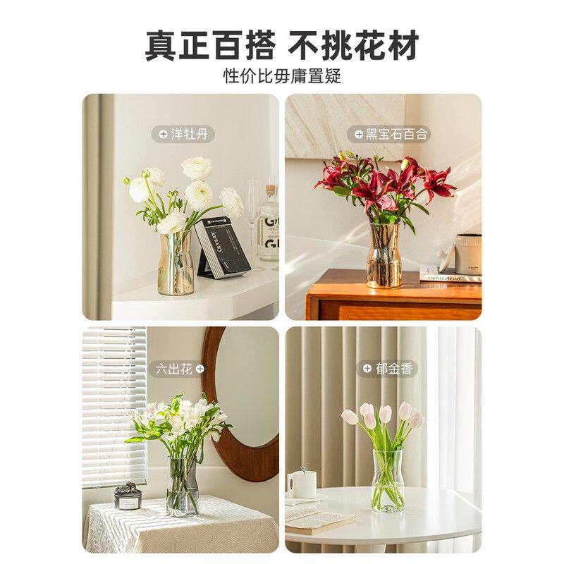 极速郁金香小花瓶摆件插花客厅玻璃透明水培水培鲜花ins现代简约