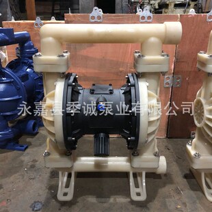 塑料隔膜泵 双隔膜泵 25F铸铁气动隔膜泵 极速QBY