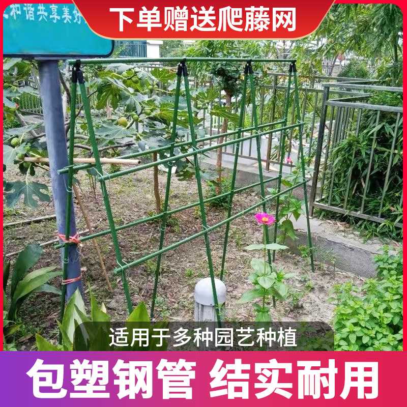 黄瓜架番茄豆角架子包塑支撑杆田园花卉绿植架攀爬花架园艺爬藤杆