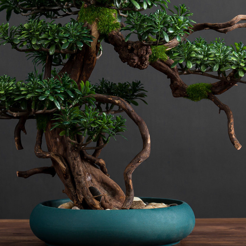 仿真迎客松盆景办公室桌面绿植摆件新中式客厅花架假盆栽家居饰品