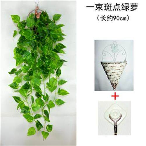 绿墙绿色挂花假绿仿真室内垂藤条叶子叶绿壁挂吊吊兰装饰萝植植物